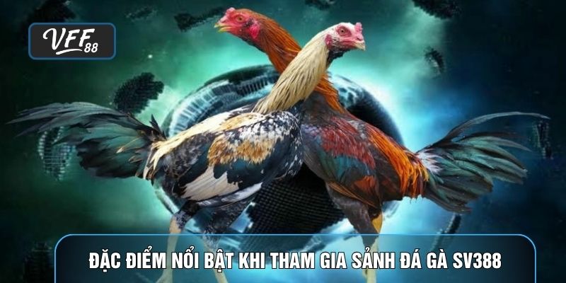 Đặc điểm nổi bật khi tham gia sảnh đá gà SV368
